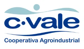 Camada 11