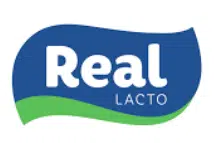 Camada 12